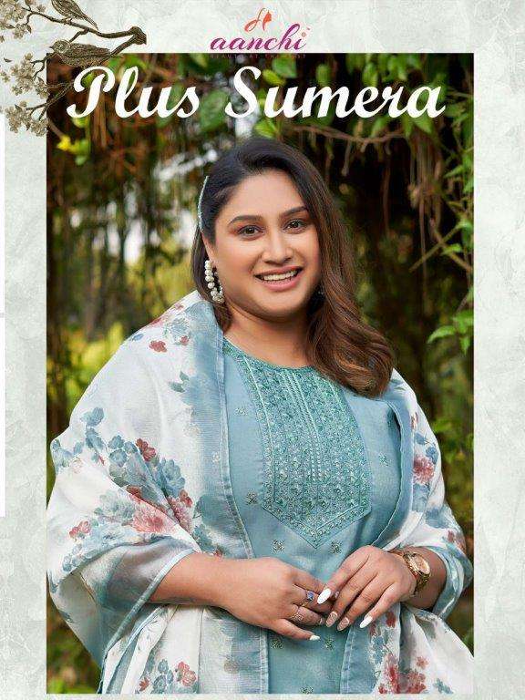 AANCHI PLUS SUMERA PURE ROMAN SHIMMER EMBROIDERY DRESSES-00286