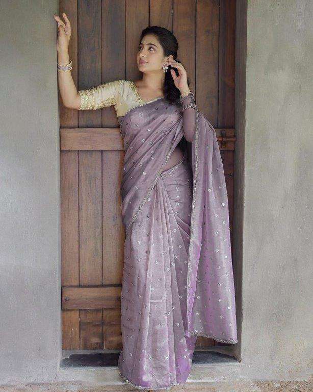 528 HIT COLOUR BY ASLIWHOLESALE DESIGNER PURE NET SEQUNCE SAREES-00241