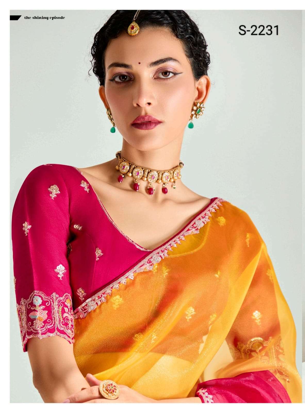 RANGREZ BY ASLIWHOLESALE DESIGNER PURE TISSUE SAREES-00004